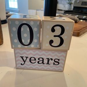 Baby milestone blocks